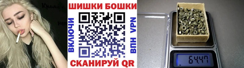 ГАШ Шуя