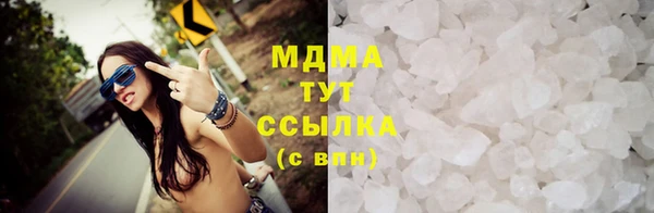 прущие грибы Балахна