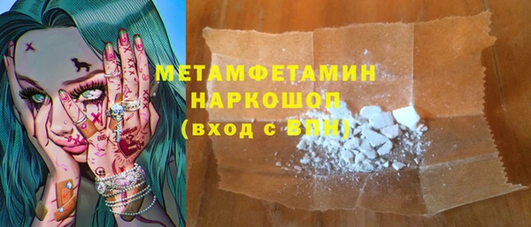 прущие грибы Балахна