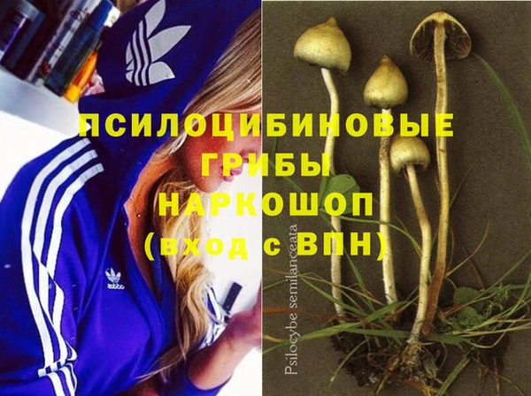 прущая мука Баксан